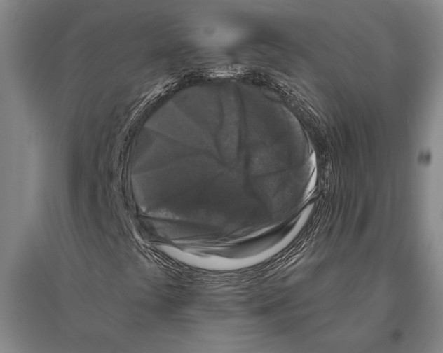 X0000094811441200712141612