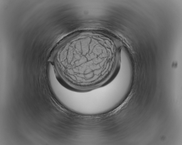 X0000094811449200712141611