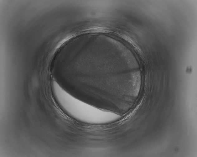 X0000094811450200712141611