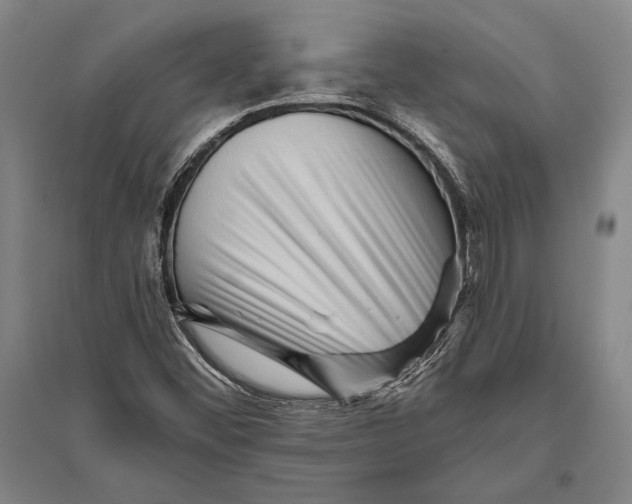 X0000094811452200712141611