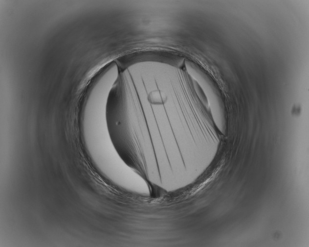 X0000094811453200712141611