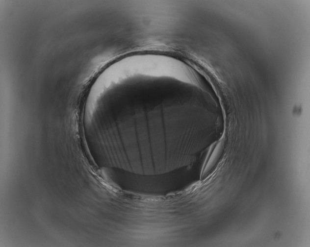 X0000094811455200712141611