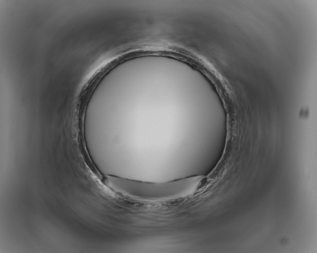 X0000094811456200712141611