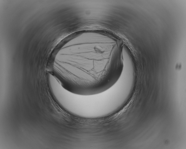 X0000094811457200712141611