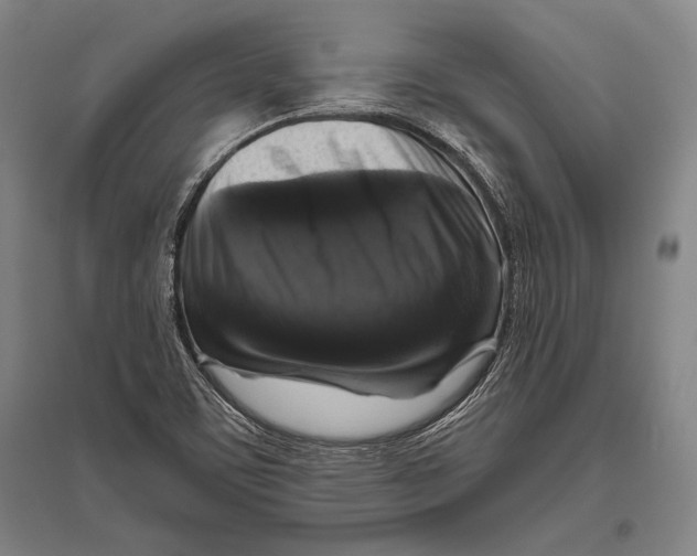 X0000094811459200712141611