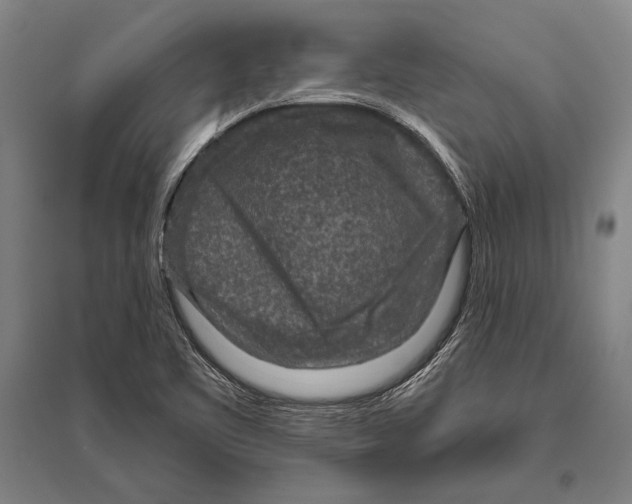 X0000094811461200712141611