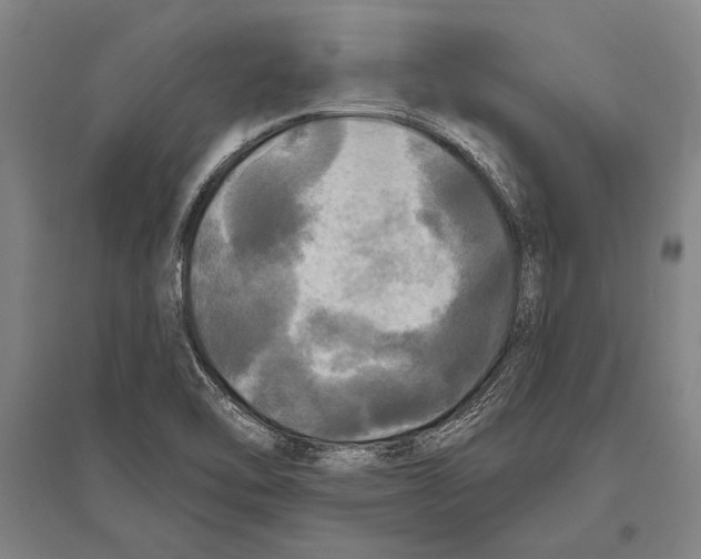 X0000094811462200712141611