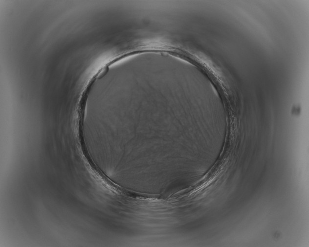 X0000094811463200712141611