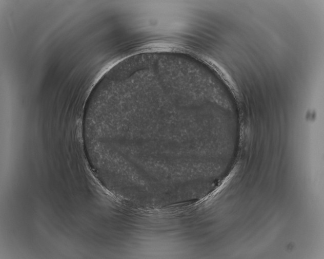 X0000094811465200712141611