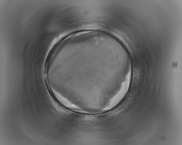 X0000094811466200712141611