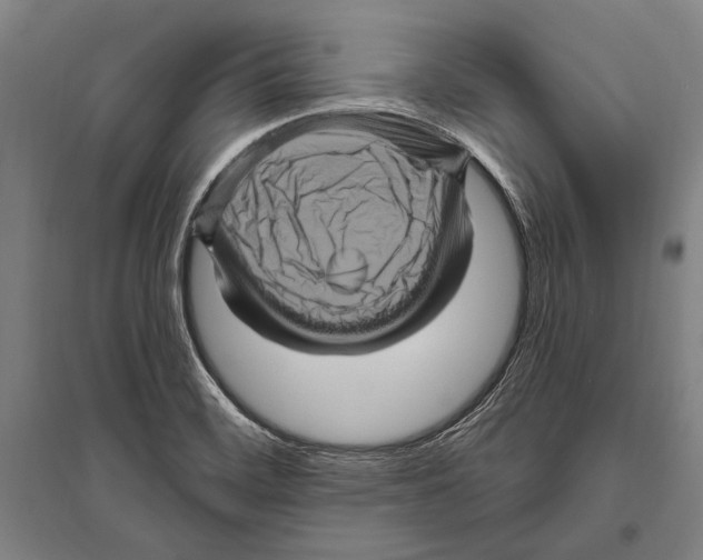 X0000094811468200712141611