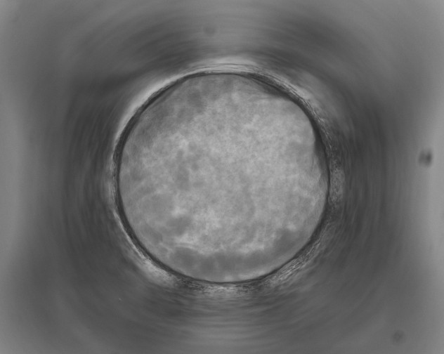 X0000094811470200712141611