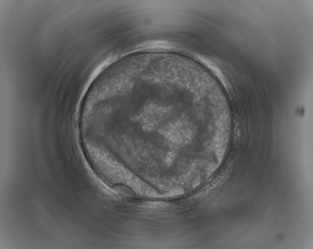 X0000094811475200712141611