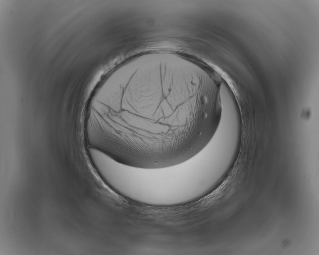 X0000094811477200712141611