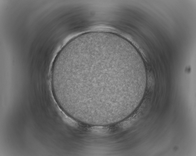 X0000094811478200712141611