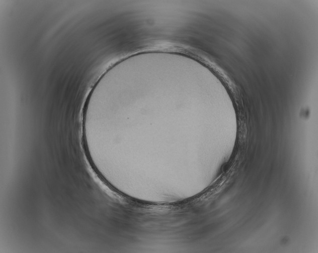 X0000094811479200712141611