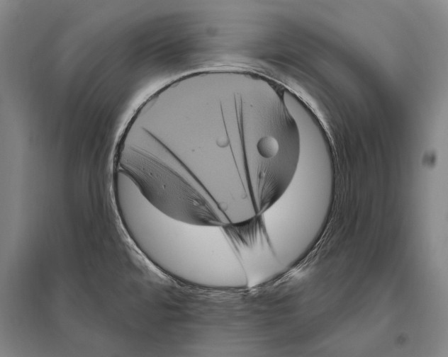 X0000094811480200712141611