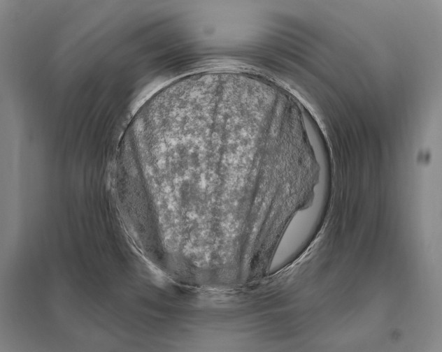 X0000094811481200712141611