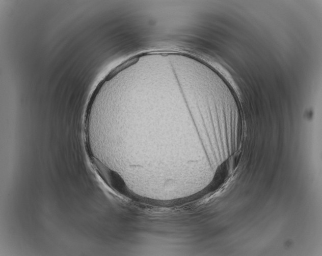 X0000094811485200712141611