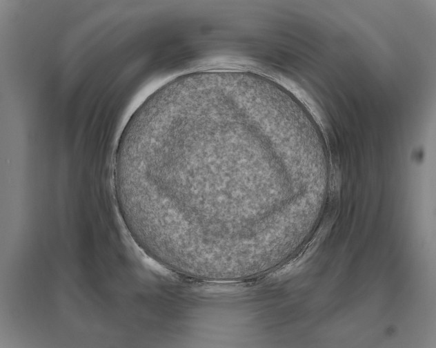 X0000094811486200712141611