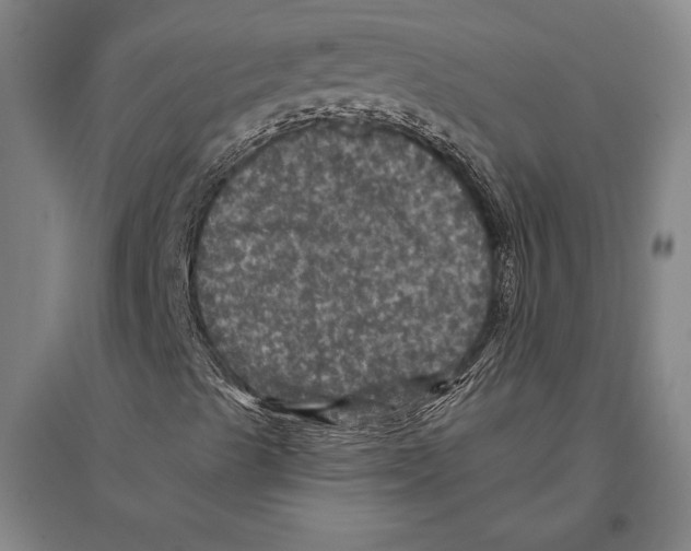 X0000094811489200712141610