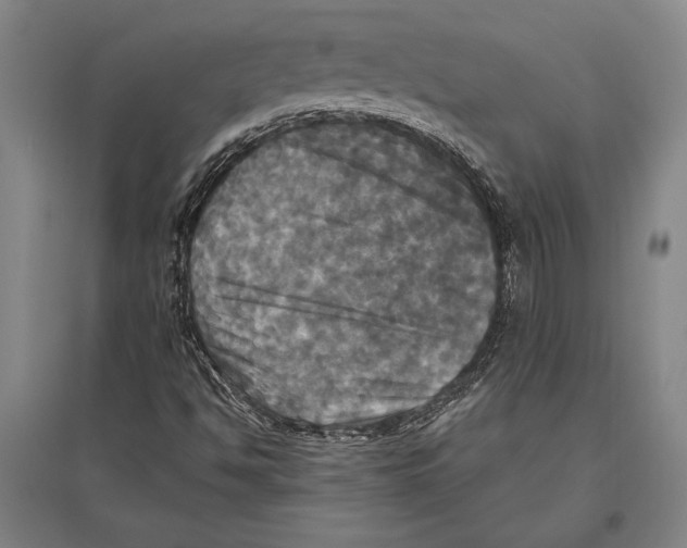 X0000094811494200712141610