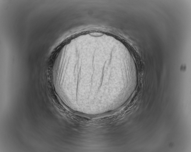 X0000094811496200712141610