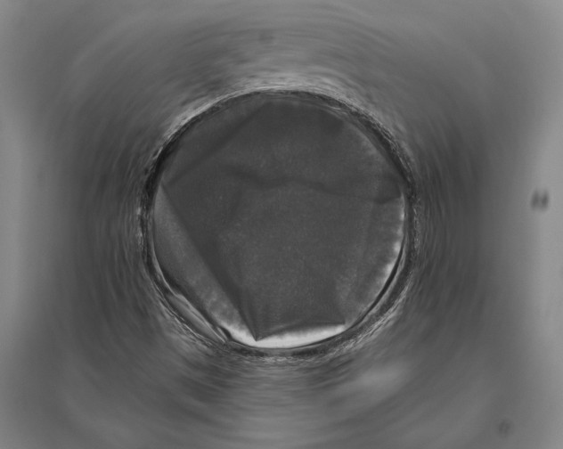 X0000094811497200712141610