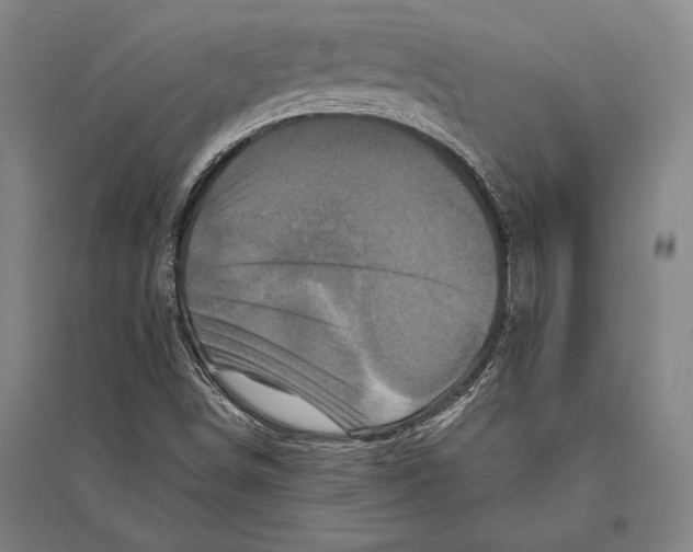 X0000094811498200712141610