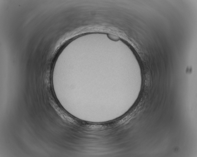 X0000094811499200712141610