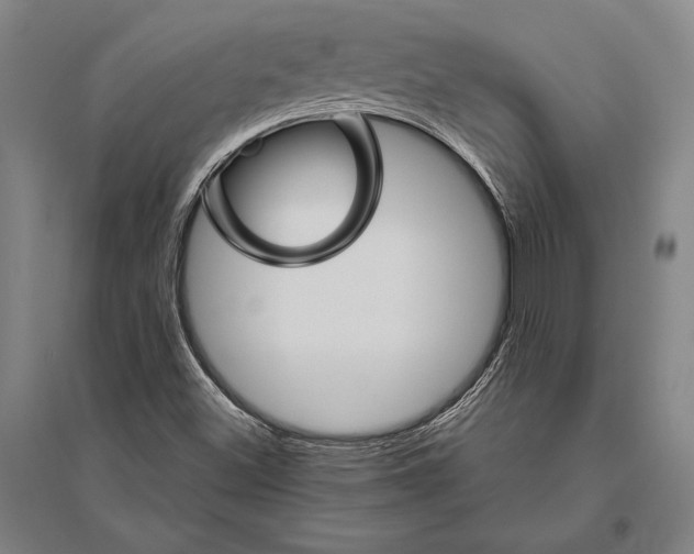 X0000094811500200712141610