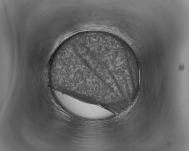 X0000094811501200712141610