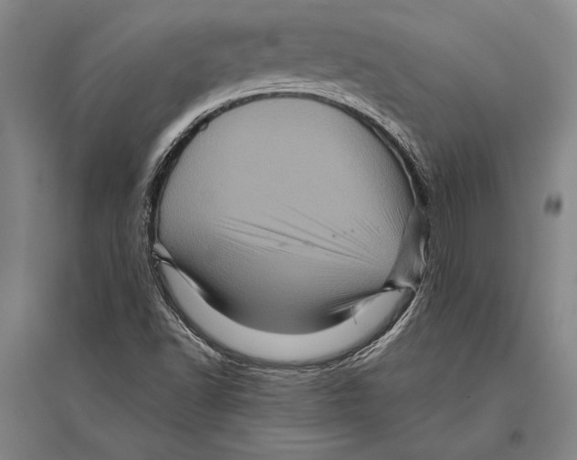 X0000094811502200712141610