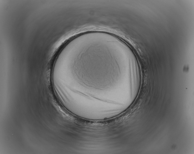 X0000094811503200712141610