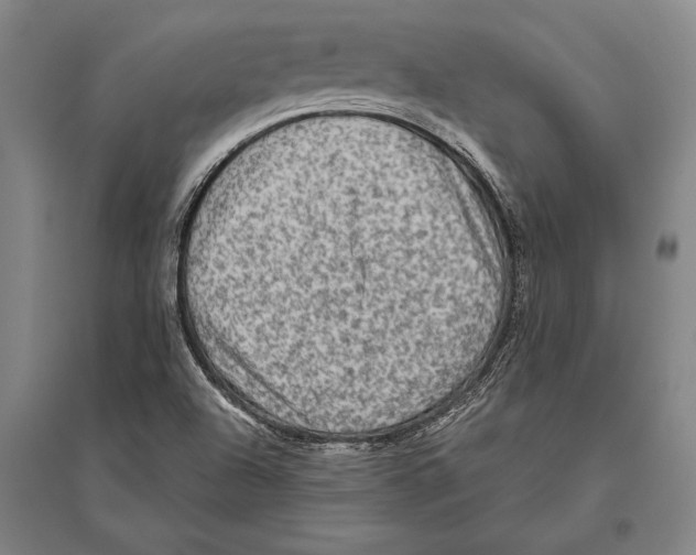 X0000094811504200712141610