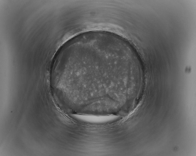 X0000094811505200712141610