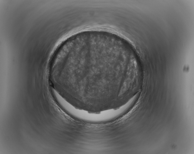 X0000094811506200712141610