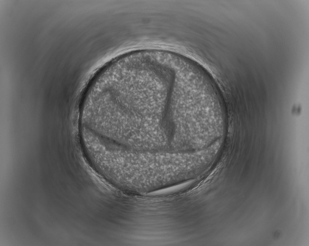 X0000094811507200712141610