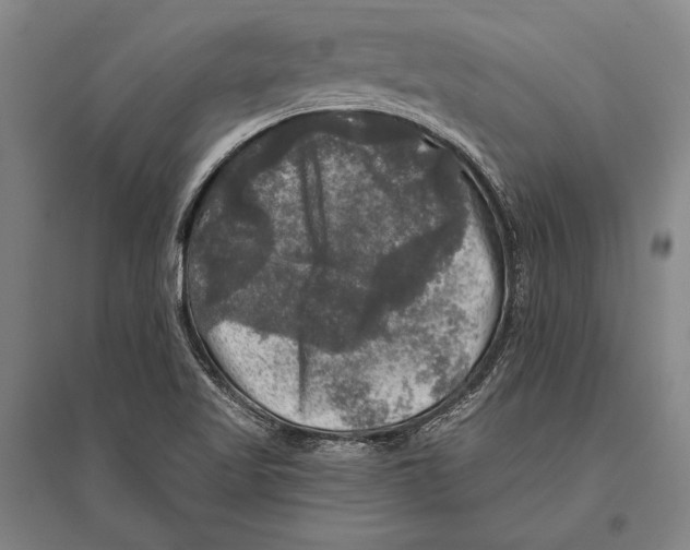 X0000094811509200712141610