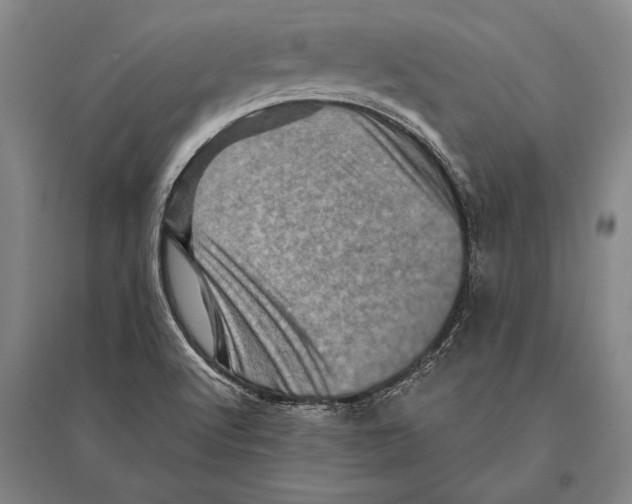 X0000094811512200712141610