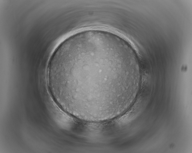 X0000094811514200712141610