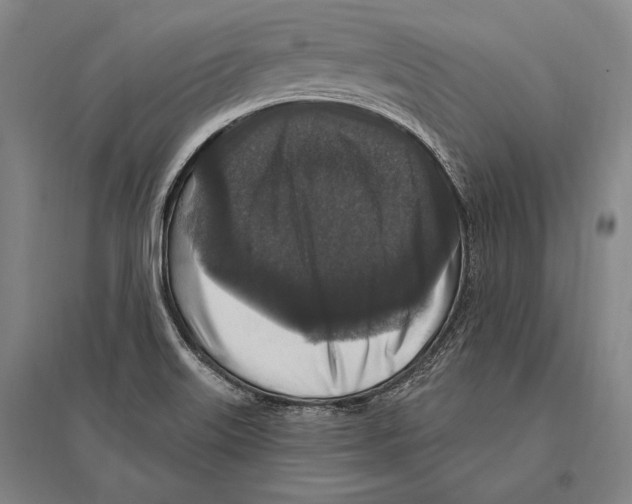 X0000094811515200712141610