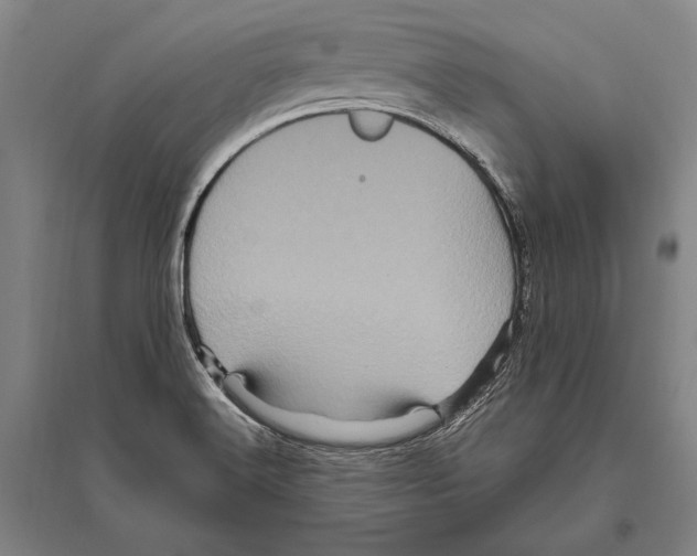 X0000094811516200712141610