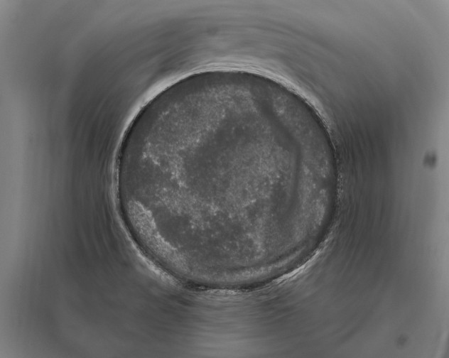 X0000094811517200712141610