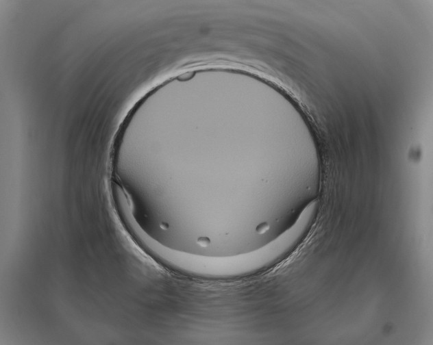 X0000094811518200712141610