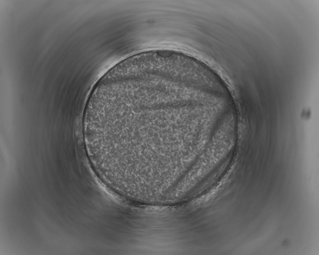 X0000094811521200712141610