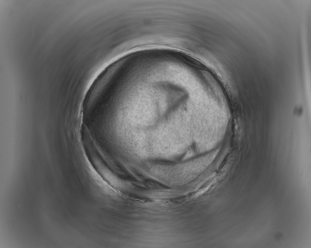 X0000094811524200712141611