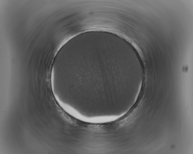 X0000094811529200712141611