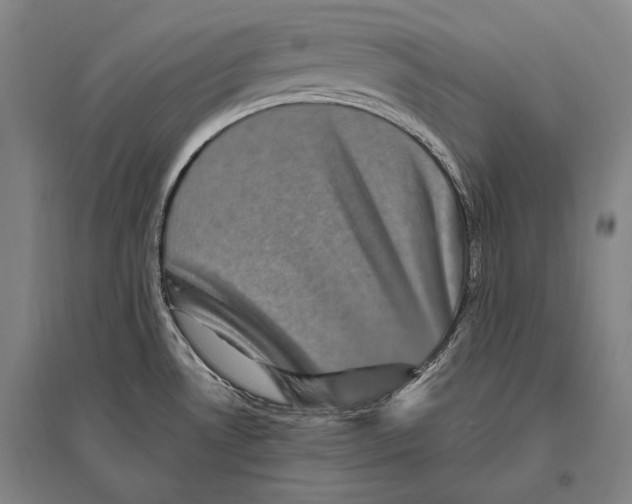 X0000094811530200712141611