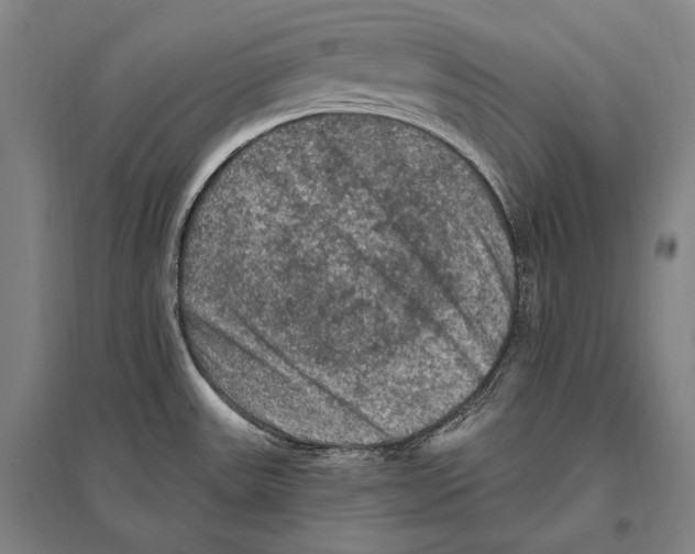 X0000094811531200712141611